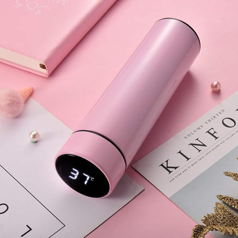 Stainless bottle with built-in Temperature Display
